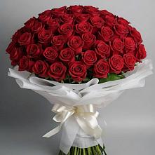 Букет 101 Красная роза Блэк Мэджик в Солигаличе
