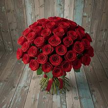 Букет 55 Красных роз Фридом #REPLACE_PRED# Солигаличе