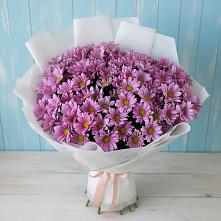 Букет цветов из:  Хризантемы #REPLACE_PRED# Солигаличе