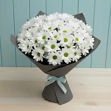 Букет цветов из:  Хризантемы в Солигаличе