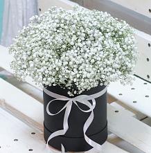 Цветочная композиция из Гипсофила в шляпной коробке #REPLACE_PRED# Солигаличе