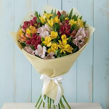 Букет цветов из:  Альстромерии в Солигаличе