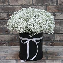 Цветочная композиция из Гипсофила в шляпной коробке в Солигаличе