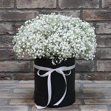 Цветочная композиция из Гипсофила в шляпной коробке в Солигаличе
