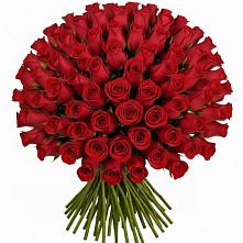 Букет Красные розы Чери Лав #REPLACE_PRED# Солигаличе