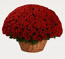 Премиум букет из: Розы #REPLACE_PRED# Солигаличе