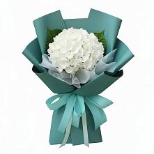 Букет цветов из:  Гортензия в Солигаличе